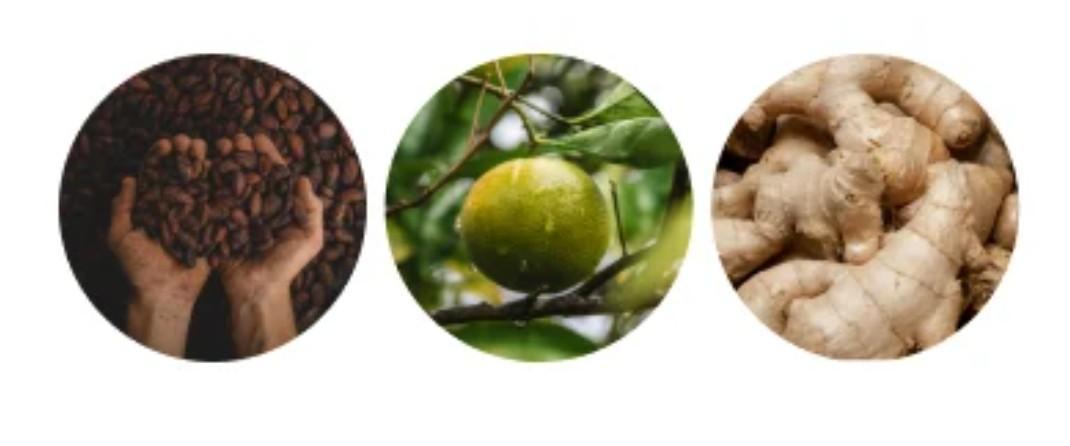 🛸Milky Way F1 RQS🦁. Week 0