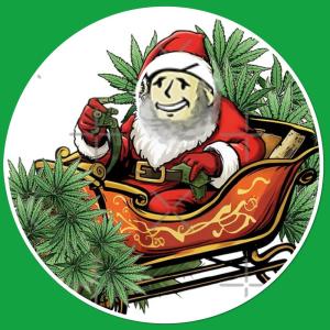 Comment by Miketama photo #1