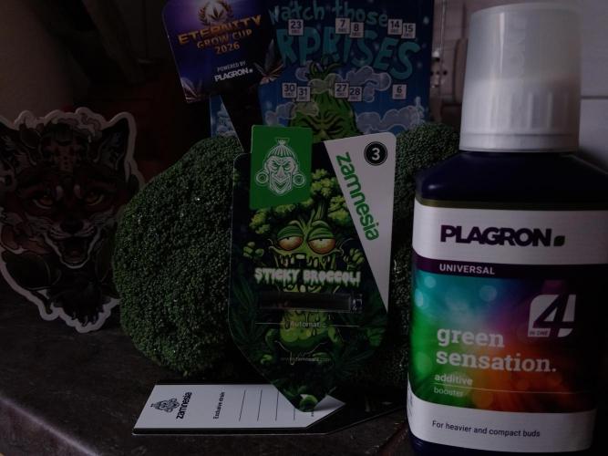 Zamnesia🍯Sticky Broccoli🥦EGC2026. Week 0