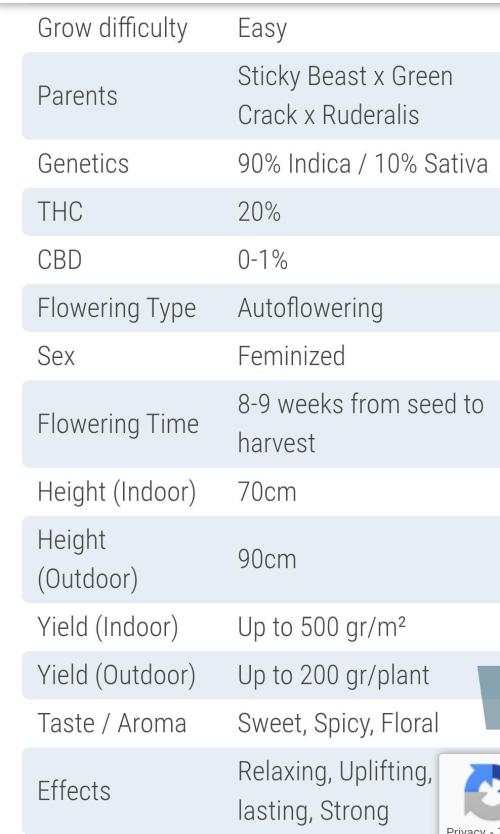 Zamnesia🍯Sticky Broccoli🥦EGC2026. Week 0
