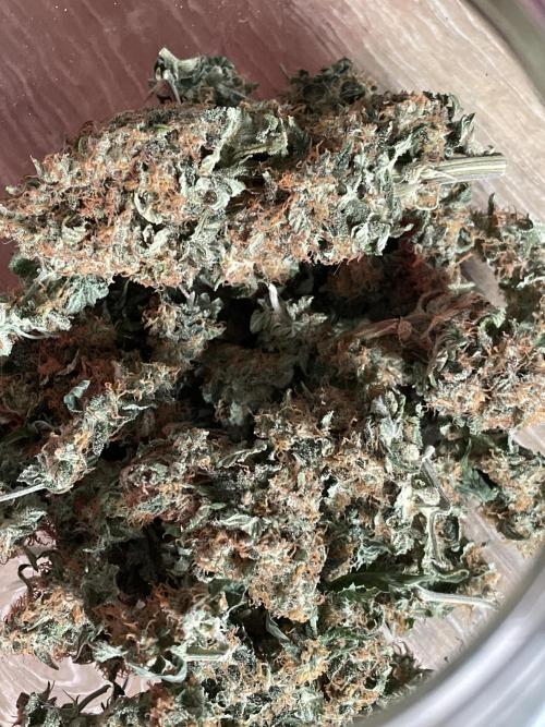 🥦Cime di Rap🥦 Zamnesia. Week 10