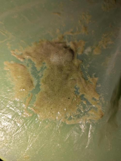 Bubble hash. Week 0 - 75 2wash