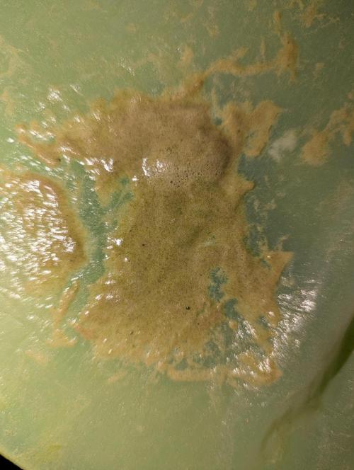 Bubble hash. Week 0