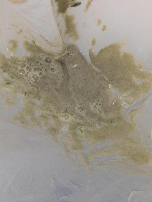 Bubble hash. Week 0