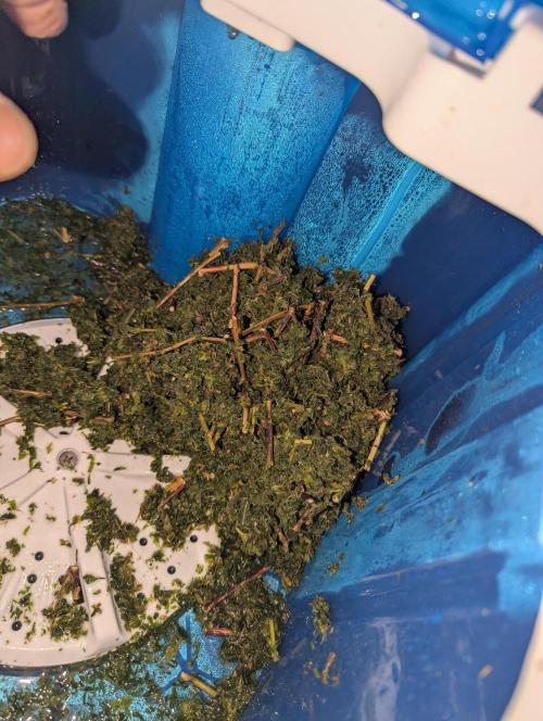 Bubble hash. Week 0