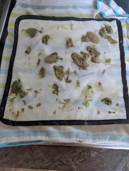 Bubble hash. Week 0
