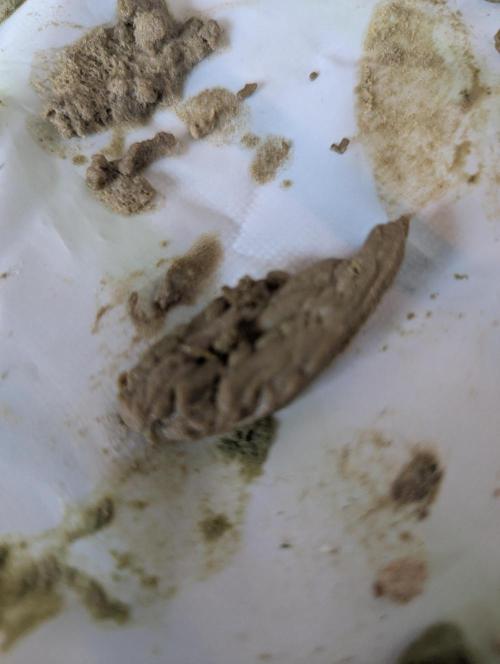 Bubble hash. Week 0