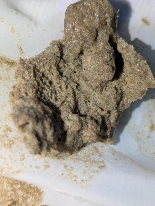Bubble hash. Week 0