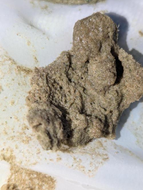 Bubble hash. Week 0