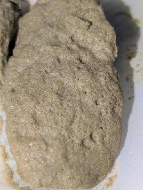Bubble hash. Week 0
