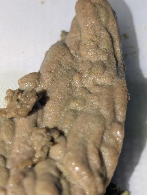 Bubble hash. Week 0