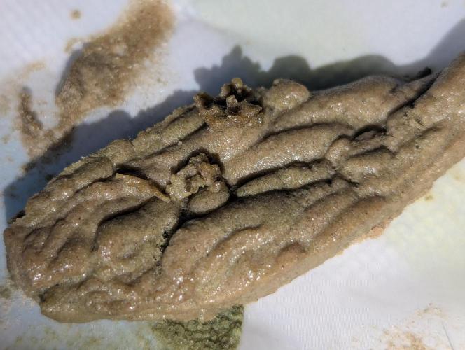 Bubble hash. Week 0