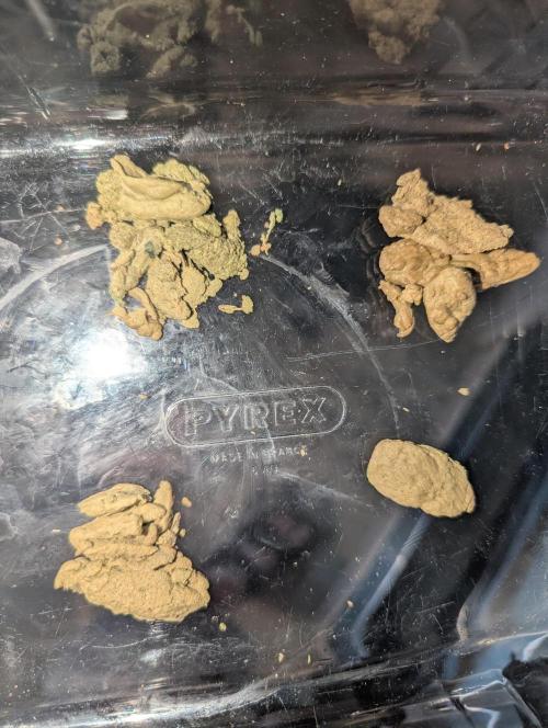 Bubble hash. Week 1
