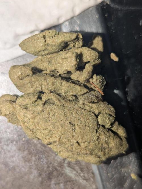 Bubble hash. Week 1 - 65