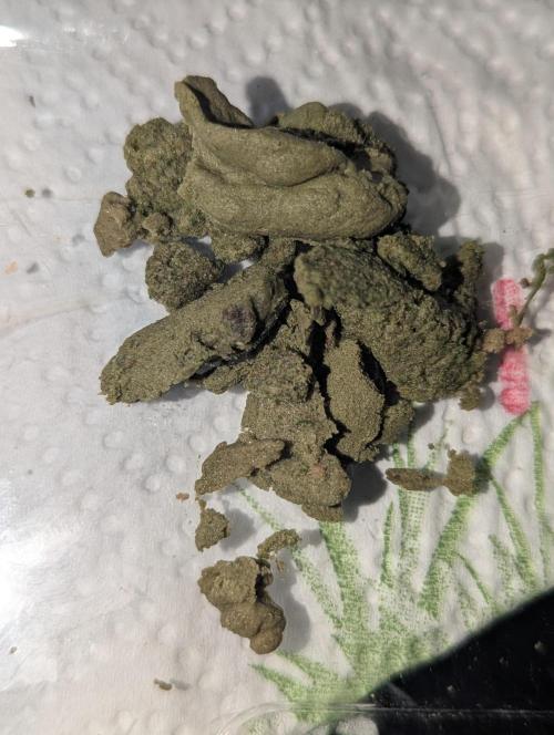 Bubble hash. Week 1