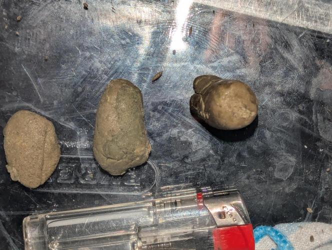 Bubble hash. Week 1