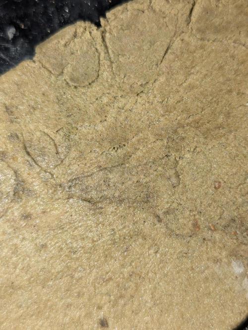 Bubble hash. Week 1