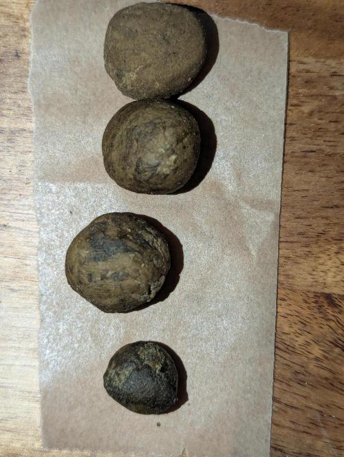 Bubble hash. Week 1