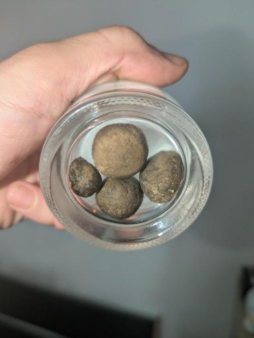 Bubble hash. Week 1
