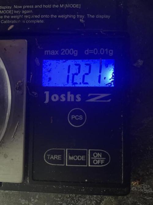 Divine Seeds Auto Fractal. Week 13 - 2°harvest 12g