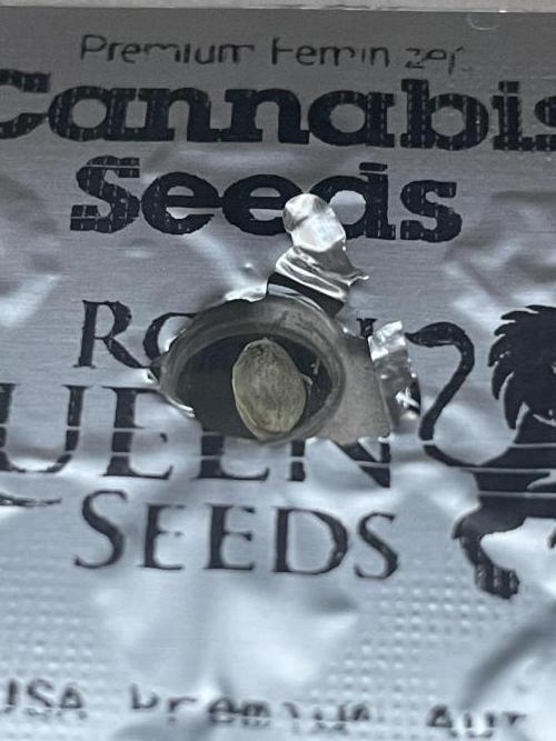 🛸Milky Way F1 RQS🦁. Week 0