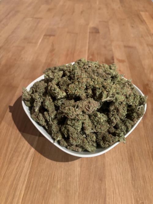 3x FastBuds Amnesia Z Auto. Week 11