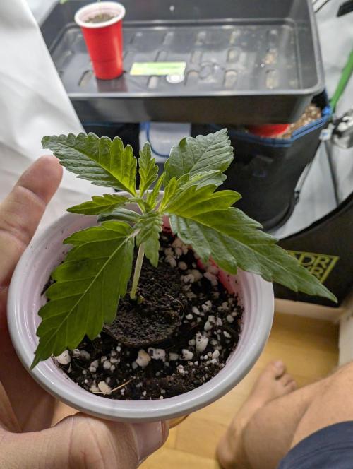 Winter 2025. Week 1 - BBM day 9