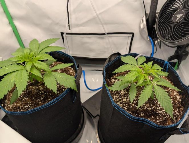 Winter 2025. Week 2 - day 17