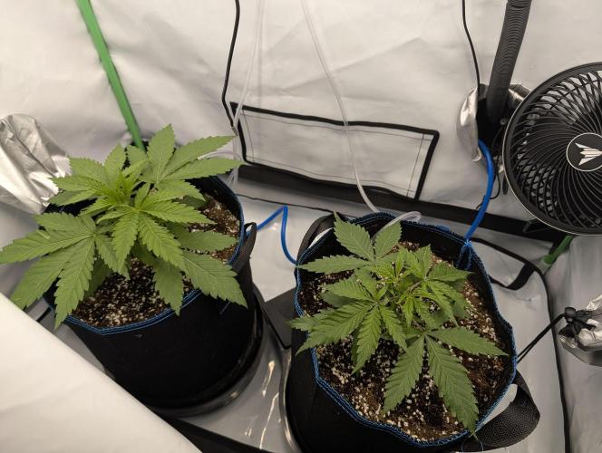 Winter 2025. Week 2 - day 18