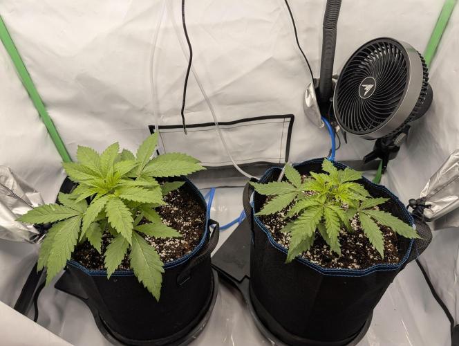 Winter 2025. Week 2 - day 19