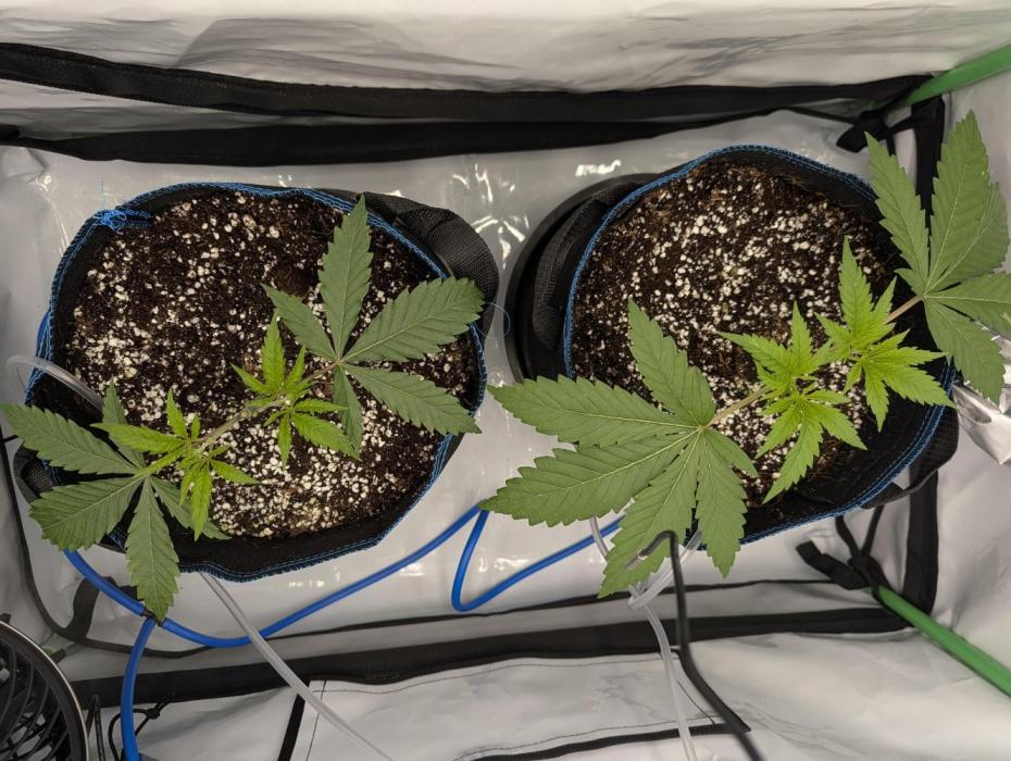 Winter 2025. Week 3 - Day 22