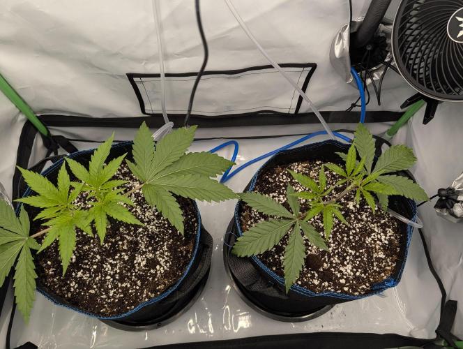 Winter 2025. Week 3 - Day 23