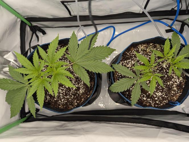 Winter 2025. Week 3 - Day 24