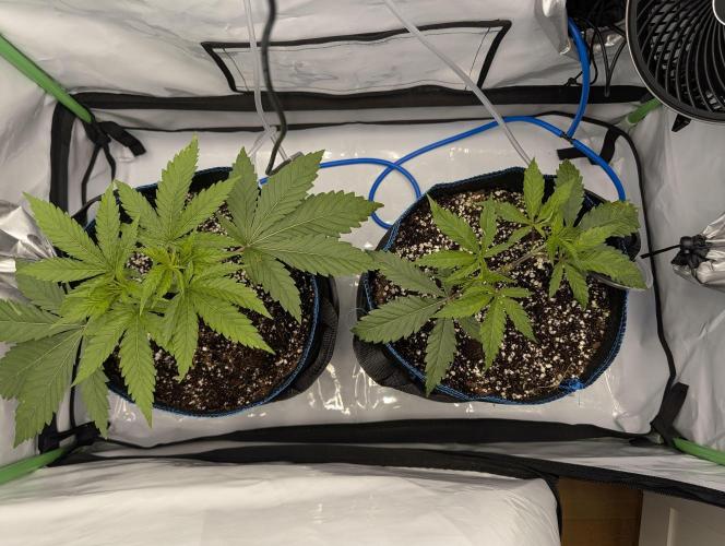 Winter 2025. Week 3 - Day 25