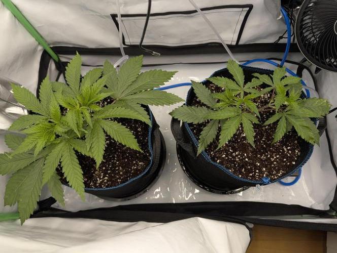 Winter 2025. Week 3 - Day 26