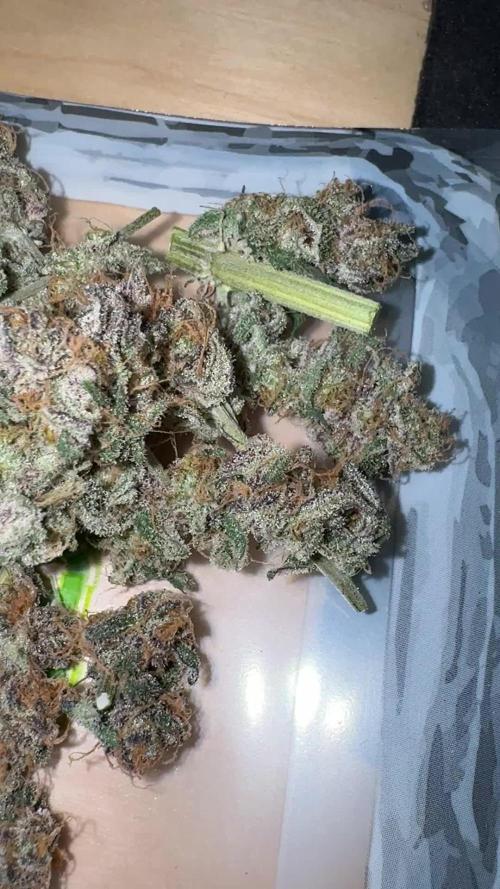 Iced Up Cherries by Square One Genetics