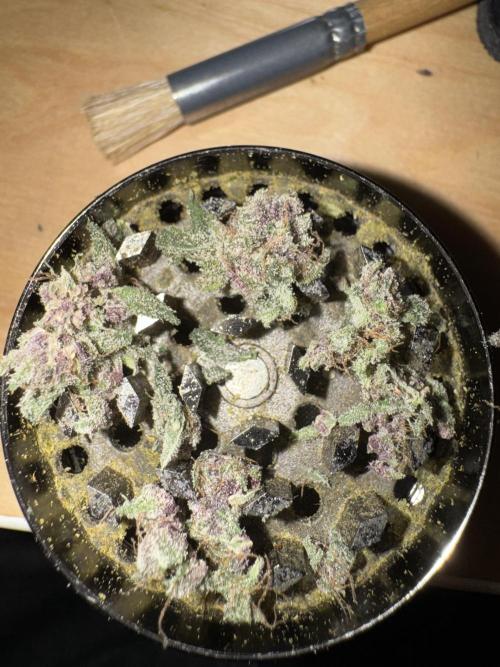 Cookie Casket by Barney's Farm & Doja. Week 17