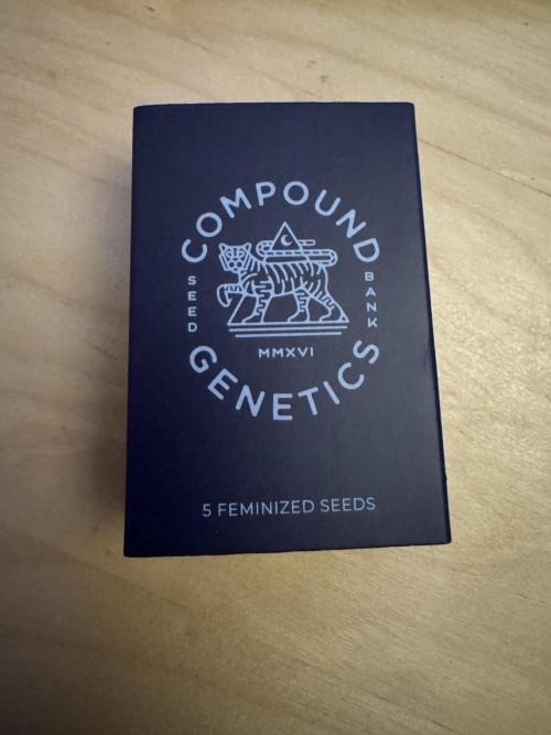 High Society by Compound Genetics. Week 0 - 05/February 2026: Glass of water method