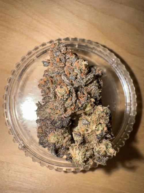 High Society by Compound Genetics. Week 20 - With flash 