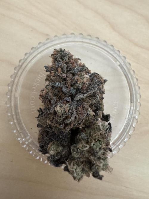 High Society by Compound Genetics. Week 20 - Without flash