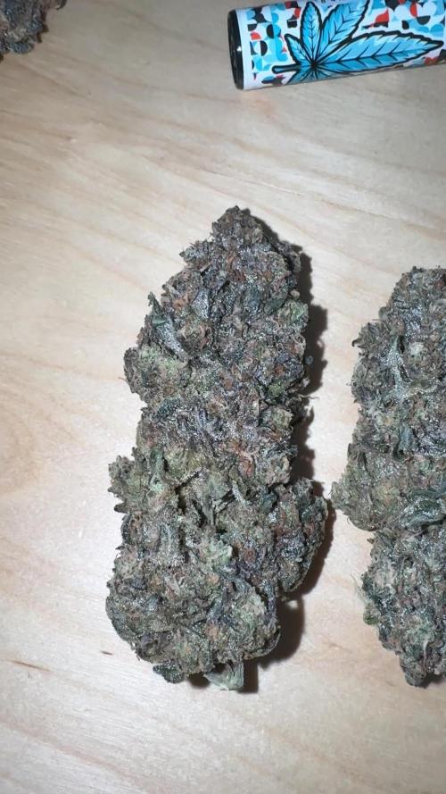 High Society by Compound Genetics