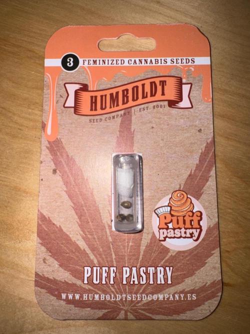 Puff Pastry by Humboldt Seed Co.. Week 0