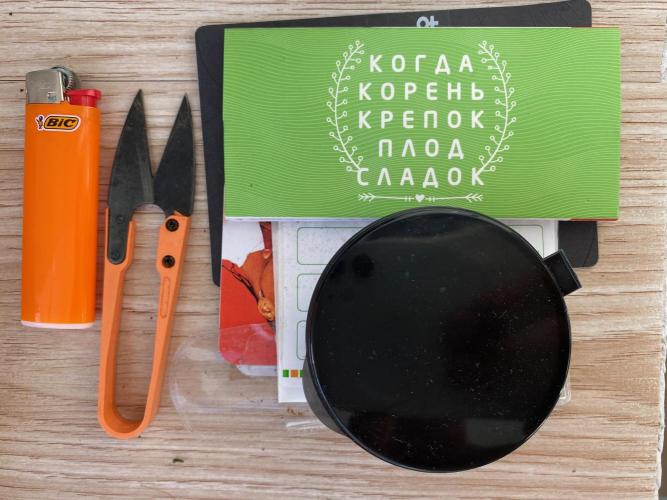 Diesel lover. Week 8 - D59-7