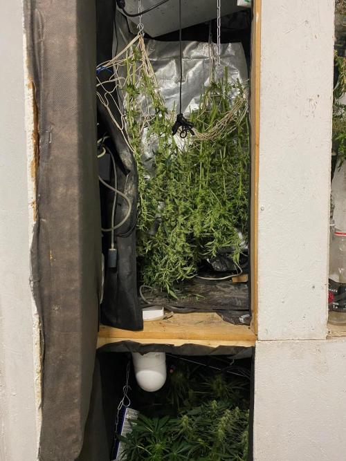 Diesel lover. Week 14