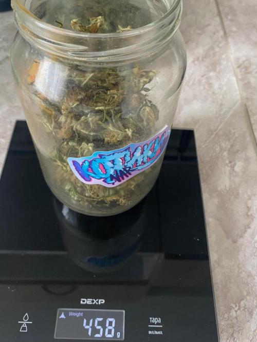 Diesel lover. Week 14 - 428 g jar 