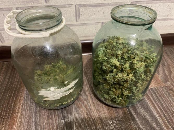 Diesel lover. Week 17