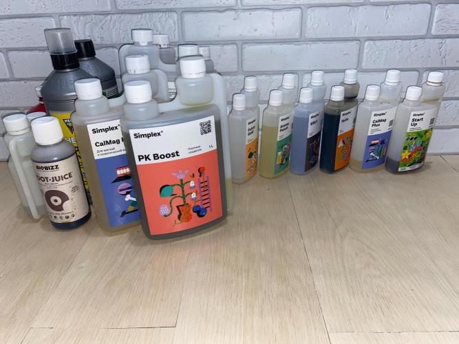 Durban Poizon Indoor. Week 6