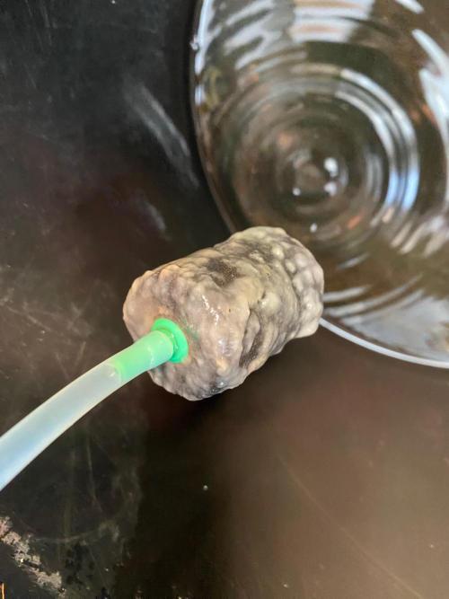 Durban Poizon Indoor. Week 7 - Simplex Taste + Aroma Punch