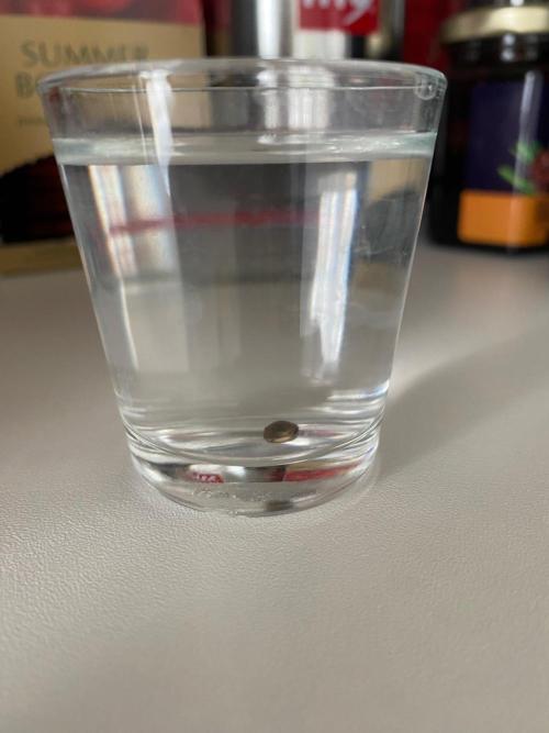 First GoldenSands Indoor rep. Week 1 - D8 - 3rd died