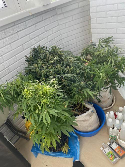 Durban Poizon Indoor. Week 9